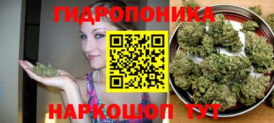 прущие грибы Пугачёв