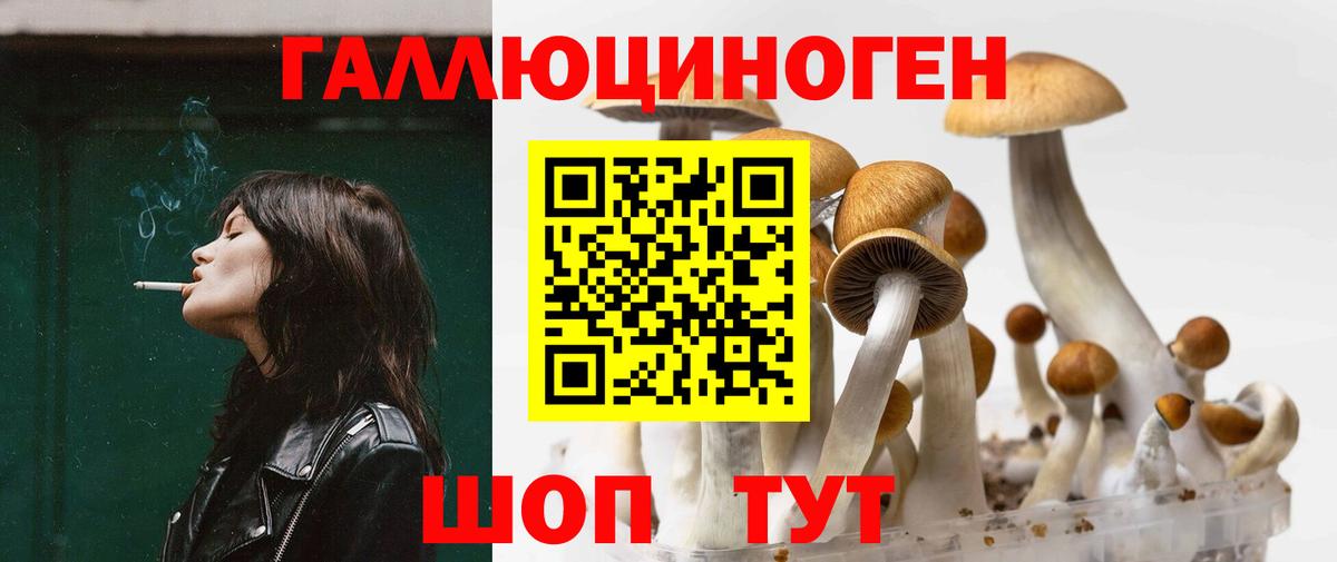 Галлюциногенные грибы Cubensis  Вход с VPN  наркошоп  Тольятти 